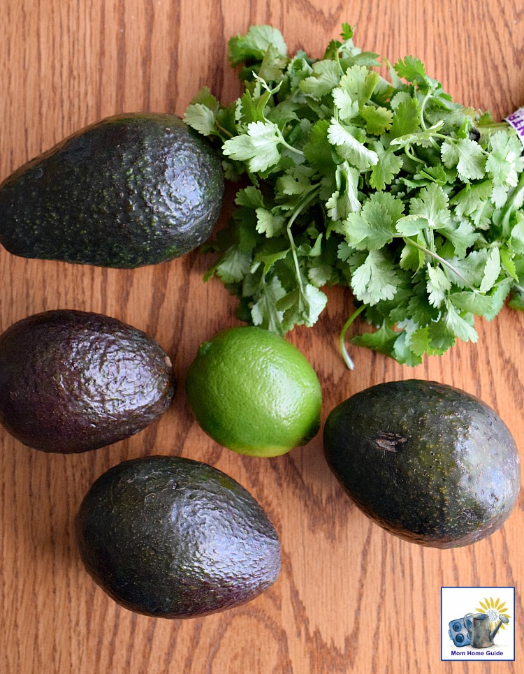 Ingredients for fresh guacamole