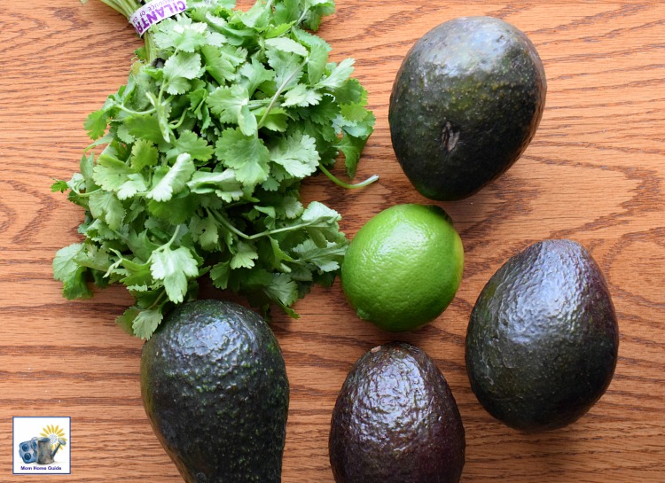 Ingredients for fresh guacamole