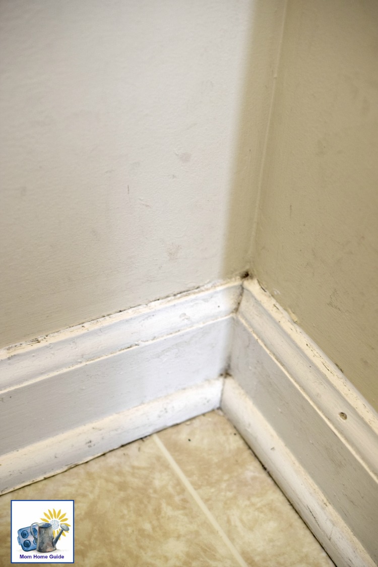 Dirty baseboards and walls in a mud room area