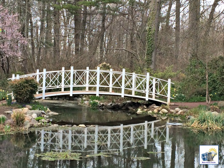 Sayen Gardens in Hamilton, NJ