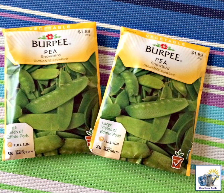 Burpee pee seeds are great for growing peas