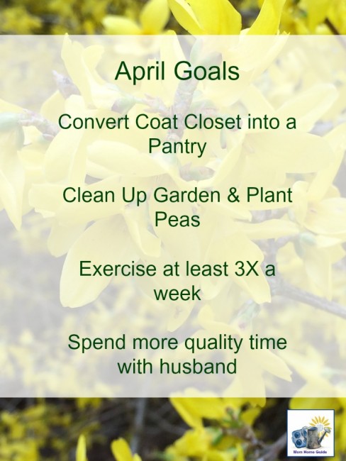 My april monthly goals -- a list of the goals I hope to achieve this month