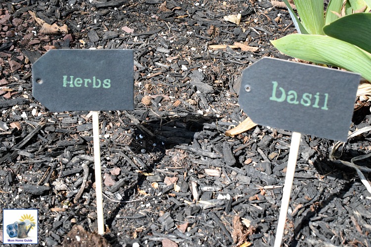 DIY herb garden markers