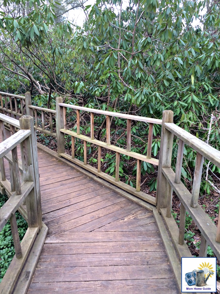 Winding bridge in Sayen Gardens in Hamilton, NJ