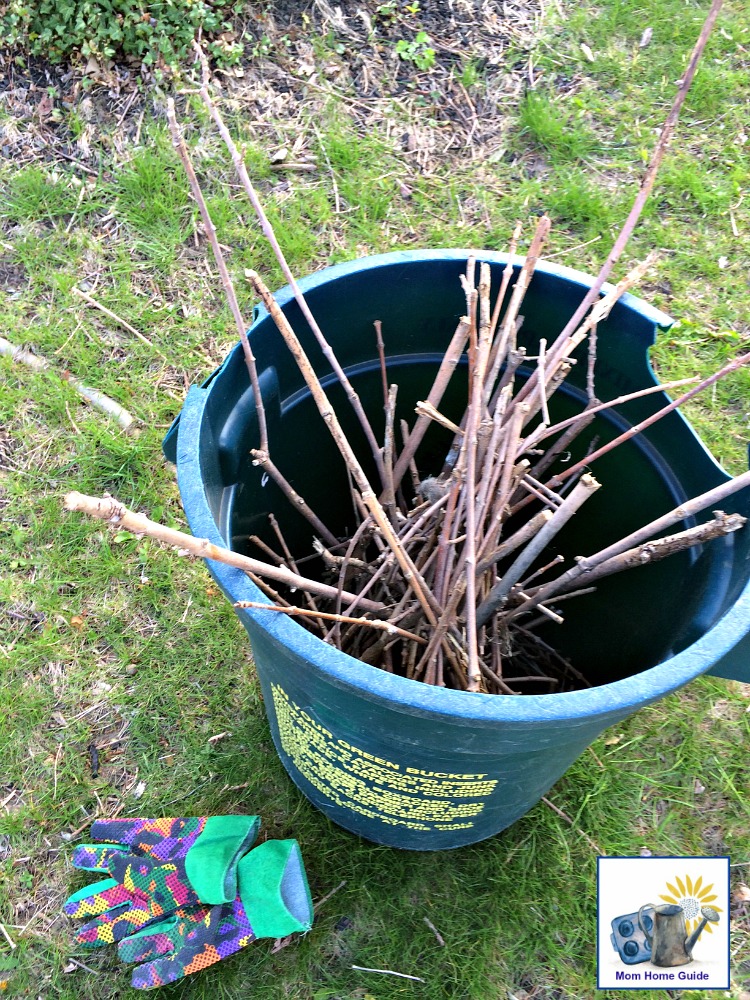 Gathering backyard debris