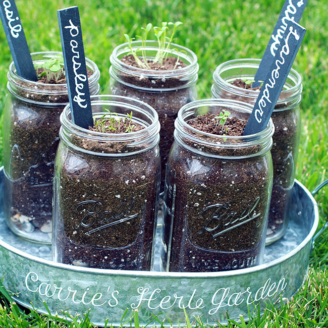 DIY herb garden with personalized garden markers in a personalized tin
