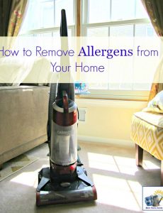 cleaning and vacuuming tips to rid a home of allergens