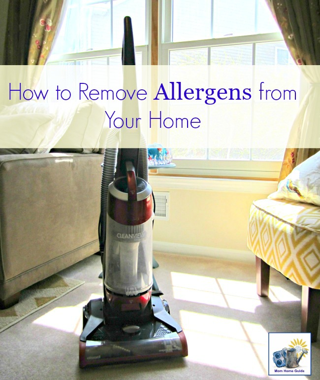 cleaning and vacuuming tips to rid a home of allergens