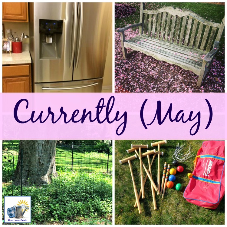 Lauren of Mom Home Guide shares her Currently post