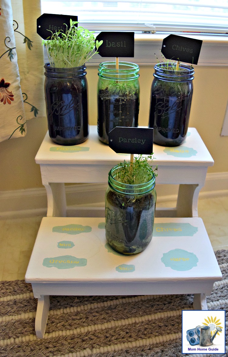 DIY plant stand with herbs planted in mason jars