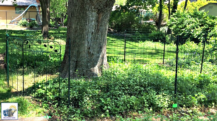 An easy DIY fenced garden with metal garden stakes and plastic netting