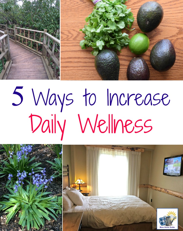 These five easy steps that you can take daily can significantly improve your daily wellness and health!