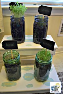 herb diy plant stand and mason jar garden