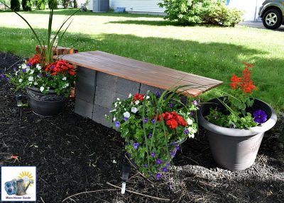 A shady garden bench surrounded by container gardens that thrives in shade.