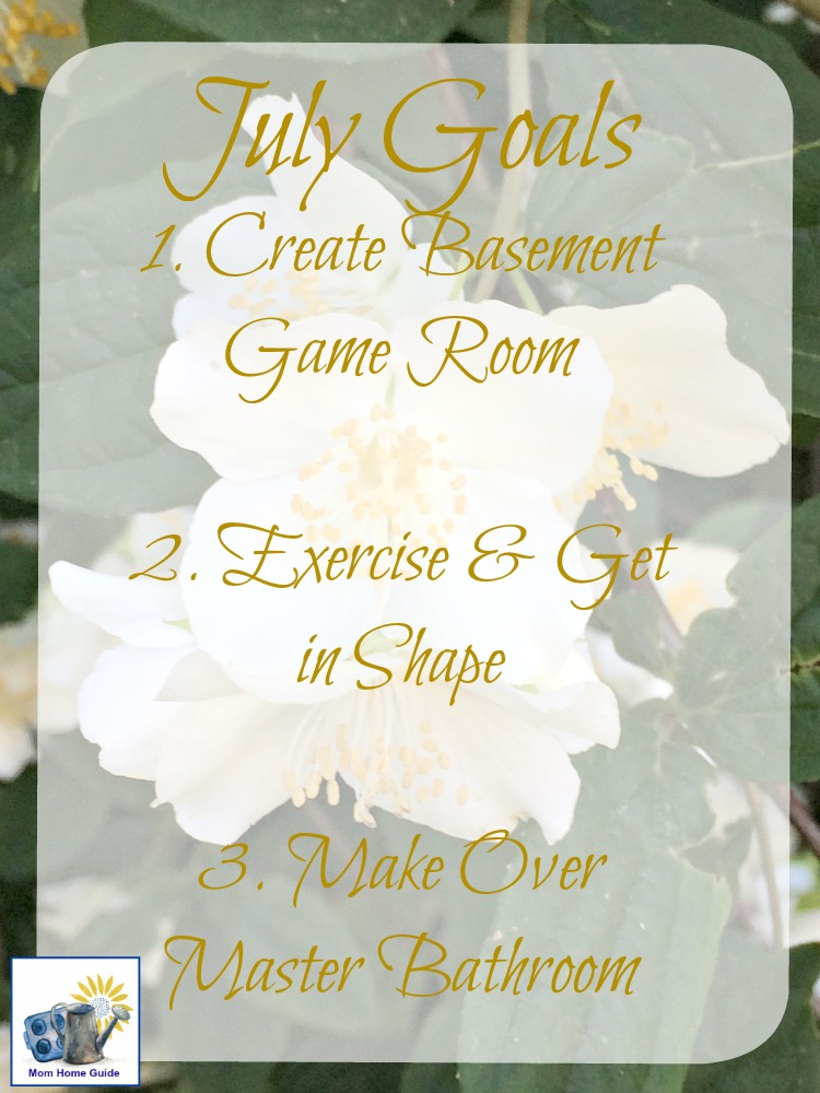 I like setting personal goals that are relatively easy to achieve each month. Check out my personal goals for July!