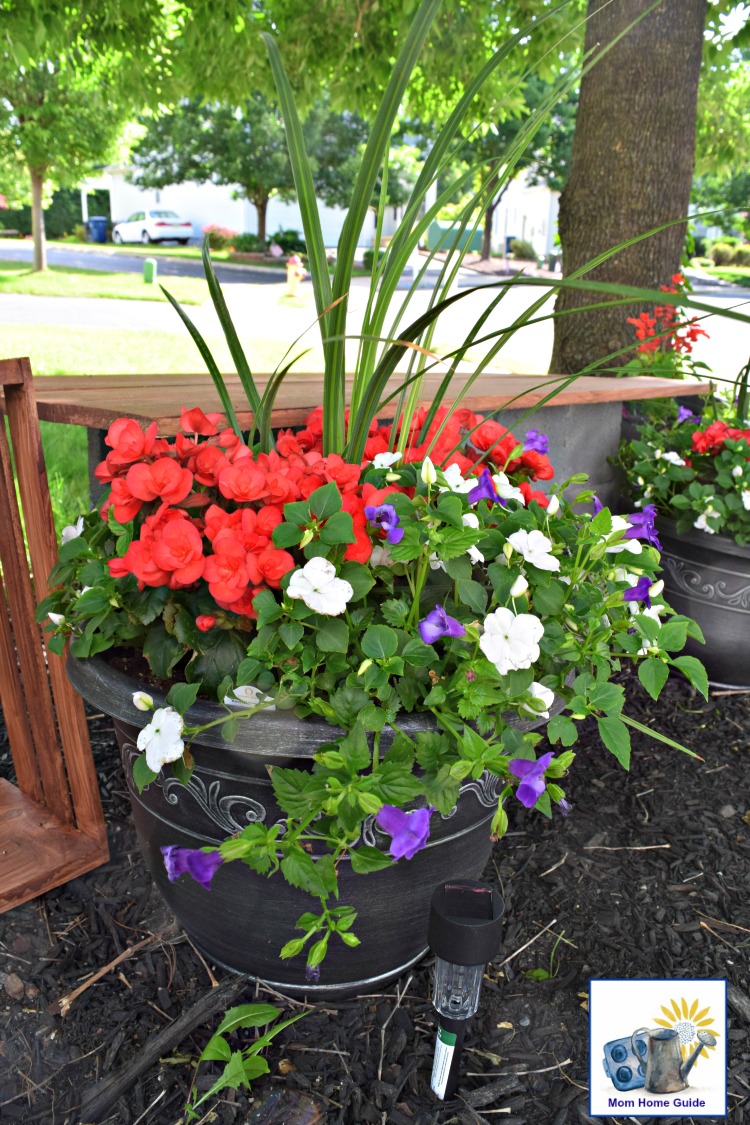 A planter with plants that thrive in shade, and an inexpensive solar light