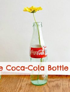 Coca-Cola bottles make really cute and sweet bud vases for summer blooms