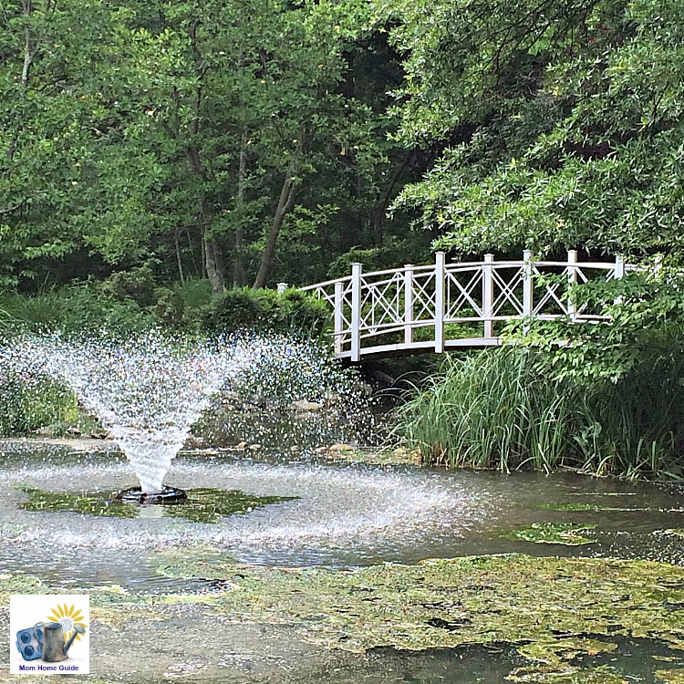 Bridge over pond in Sayen Gardens in Hamilton, NJ