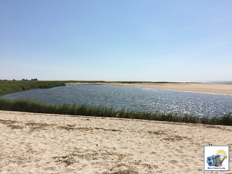 Barrier beach at Audubon Wildlife Preserve in Wellfleet, Mass.