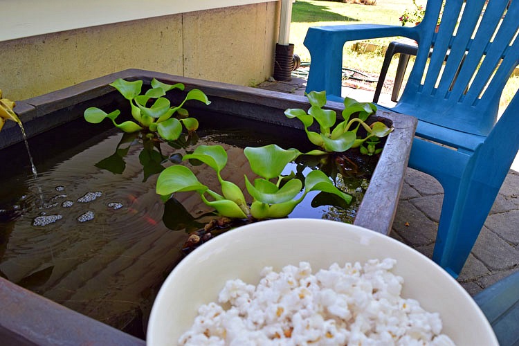 A quiet spot and some popcorn are two of my favorite treats