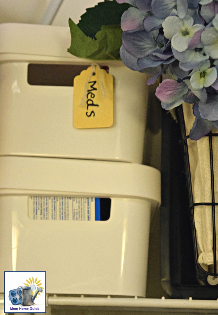 Plastic cubby for storing medicine in a coat closet converted into a pantry