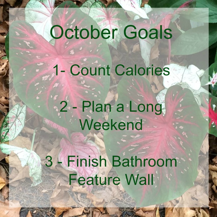 My goals for October. Setting small monthly goals really helps me to get things done.