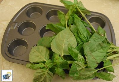 How to use a mini muffin tin to preserve fresh basil. It's really quite easy!