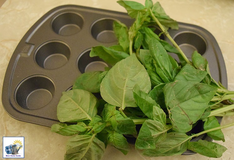 How to use a mini muffin tin to preserve fresh basil. It's really quite easy!