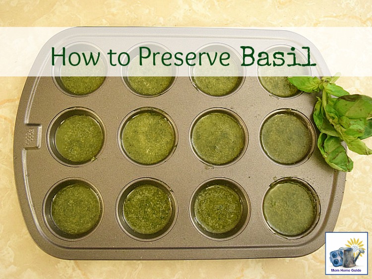 how to freeze basil in olive oil