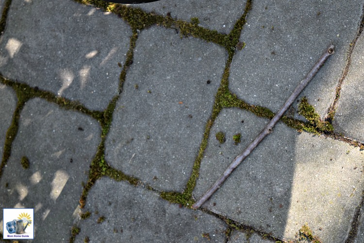 How to get rid of moss growing between pavers