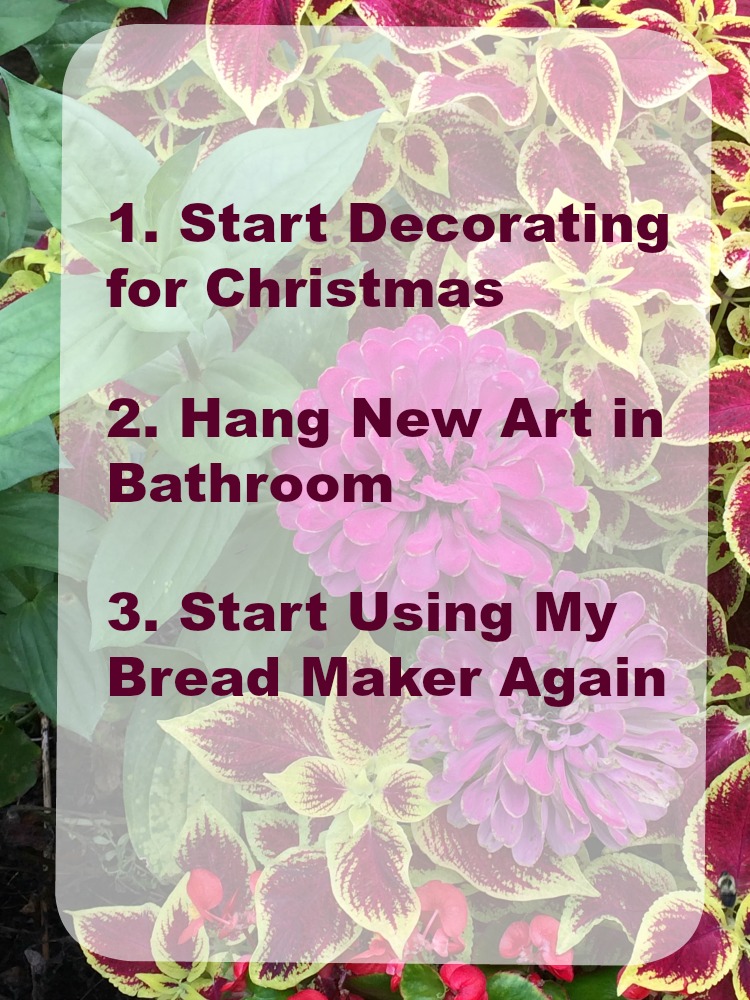 November goals from Mom Home Guide