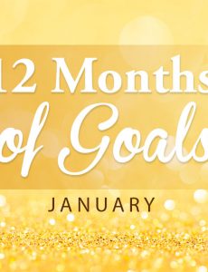 12 months goals -- January