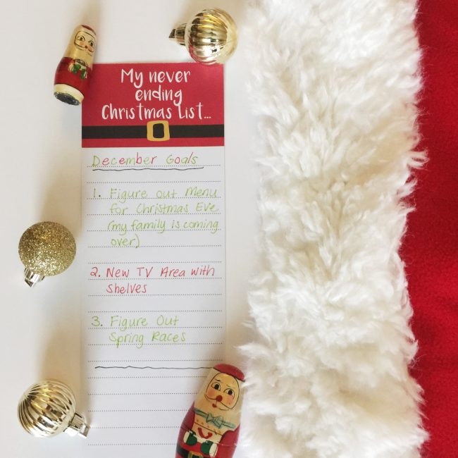 December goals, Curly Crafty Mom