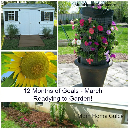 12 months of goals -- March. For this month, I hope to get ready to garden this spring and summer. A big part of this goal is to enclose my raised garden beds.
