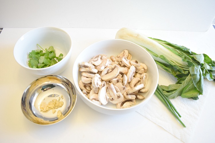 Vegetable ingredients for Japanese udon soup