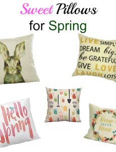 I love all these inexpensive pillows from Amazon for spring