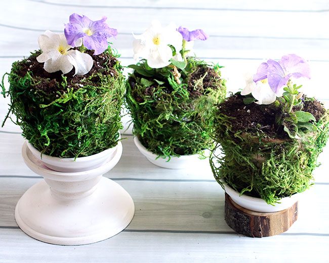 Moss pots by Curly Crafty Mom