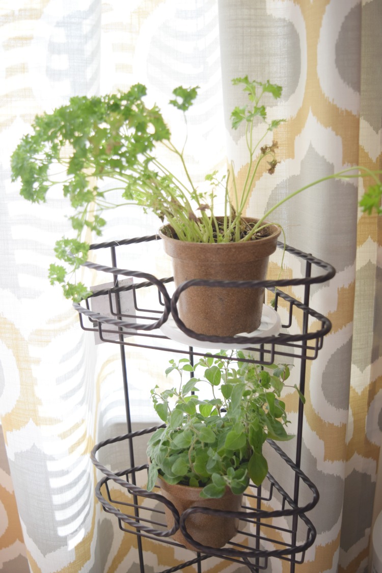 A small stand can be used to hold potted herbs in a kitchen