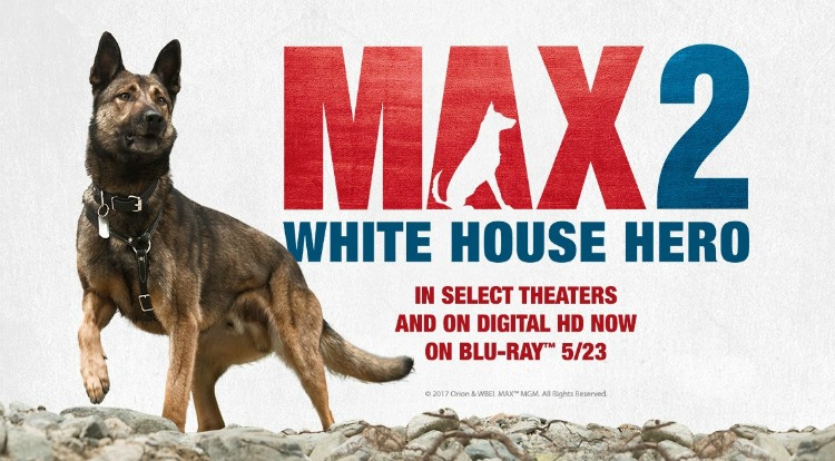 Max 2: White House Hero DVD giveaway