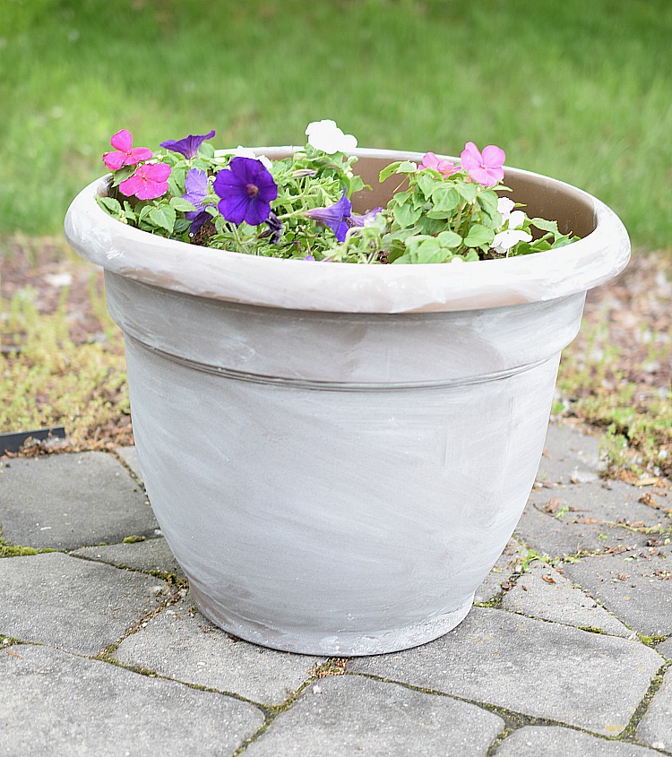 white washed gray flower pot on paver patio