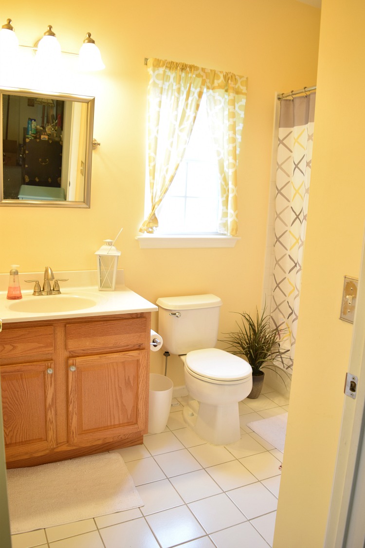 Before shot of guest bathroom