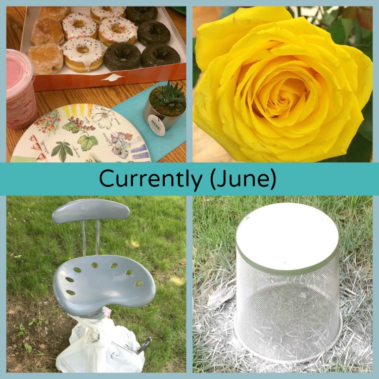What I have been up to this month (June) -- two birthdays and a room refresh project for a teenager
