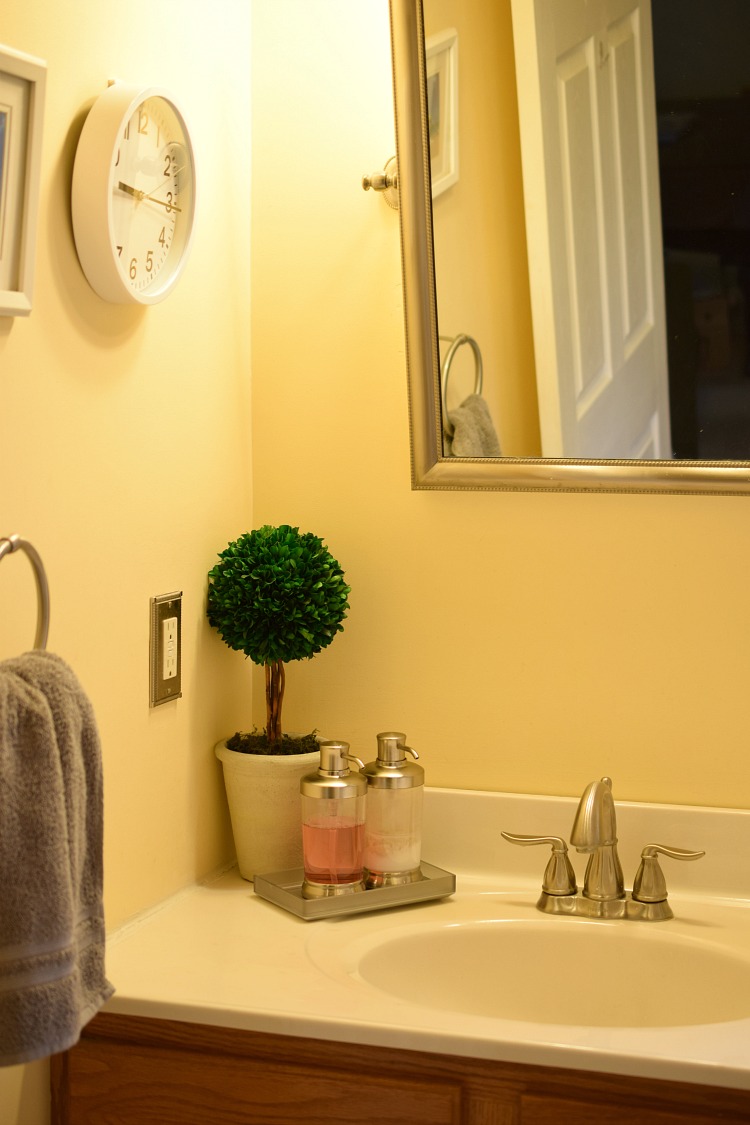 Bathroom with a topiary, clock, soap dish and soap dish dispensers from Target