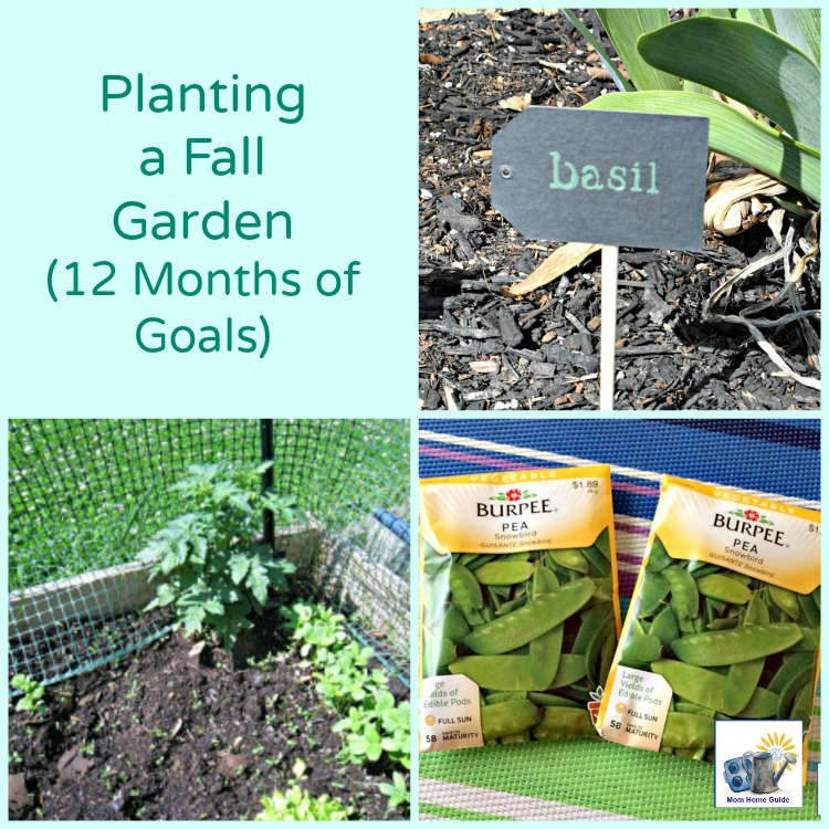 August goal -- planting a fall garden