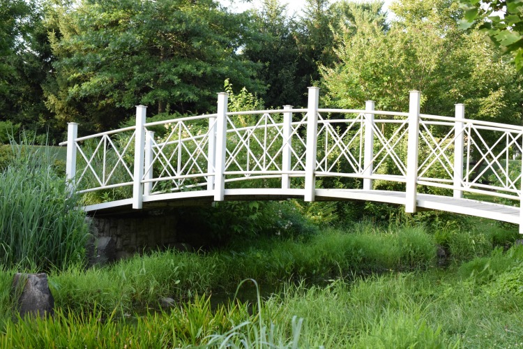 beautiful bridge in Sayen Gardens, NJ