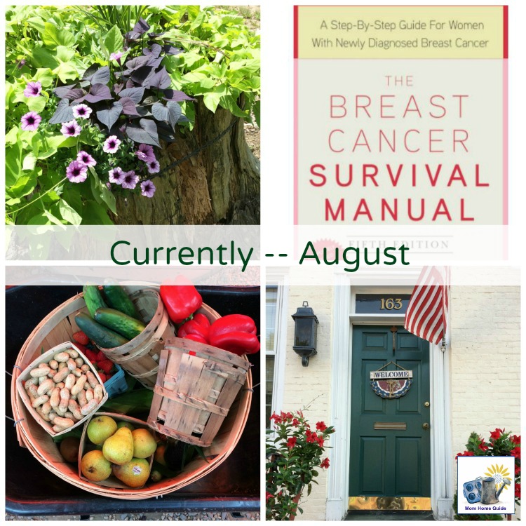 Lauren of Mom Home Guide shares what she's been up to this summer in her "Currently" post
