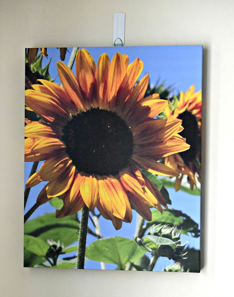 custom sunflower print made with Canvas Factory