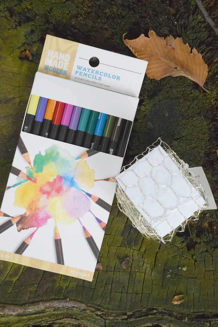 watercolor pencils and chicken wire for craft projects