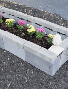 cinder block raised garden bed filled with mums