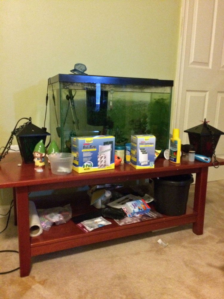 20 gallon fish tank